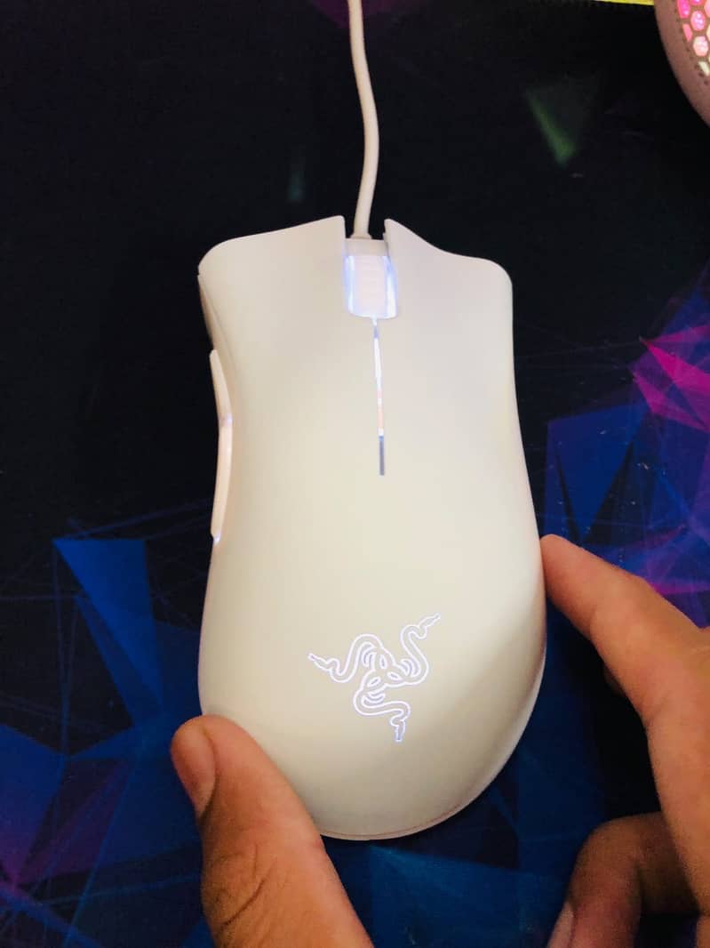 Mouse 5