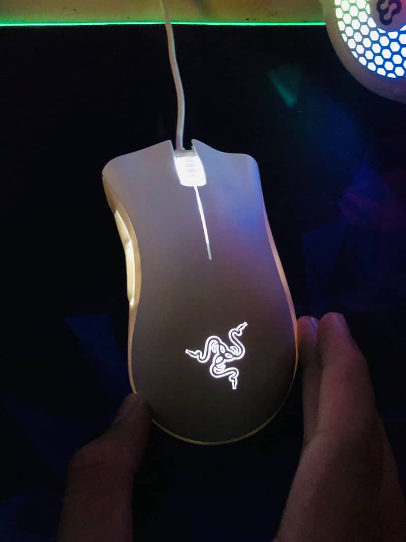 Mouse 6