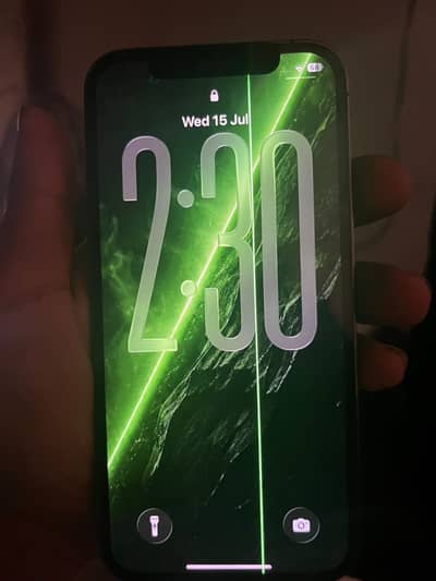12 pro