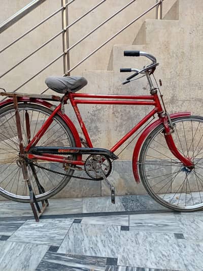 20" Sohrab Cycle