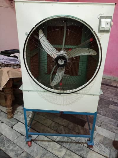 10 days use only