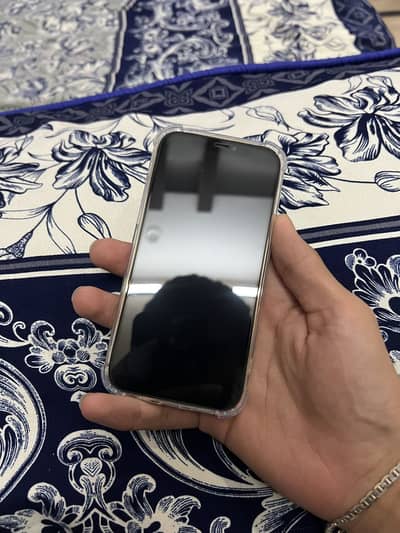 Apple iPhone 12 Pro