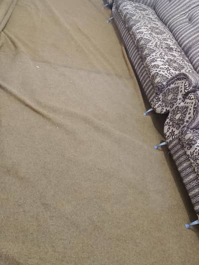 Carpet for Sale