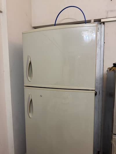 National gaba fridge