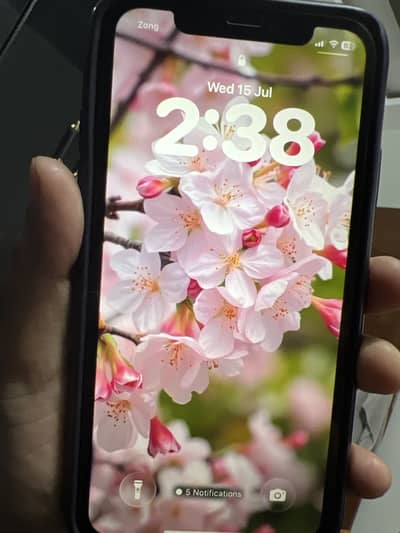 Apple iPhone 11