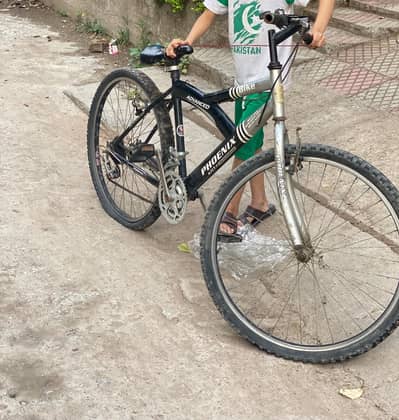 Phoenix cycle for sale