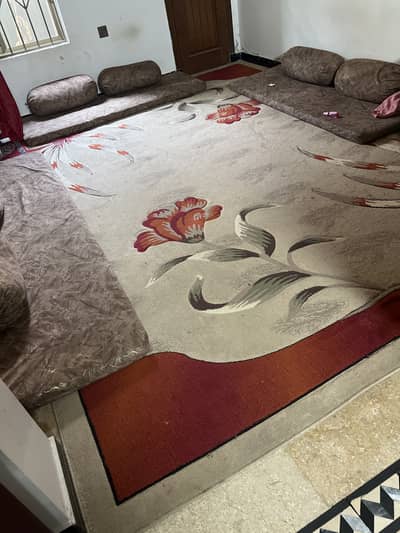Carpet /Rug 10*14