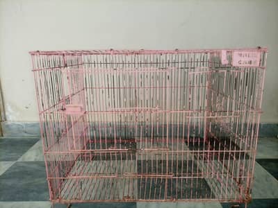Cage for All type of birds with large kikar box