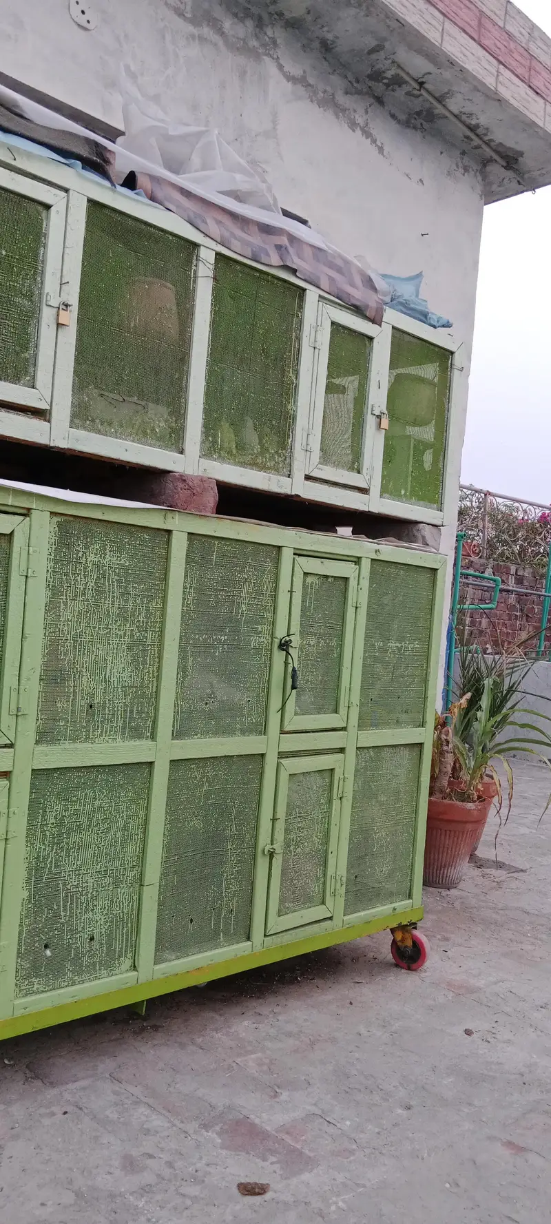 brids cage — photo 2