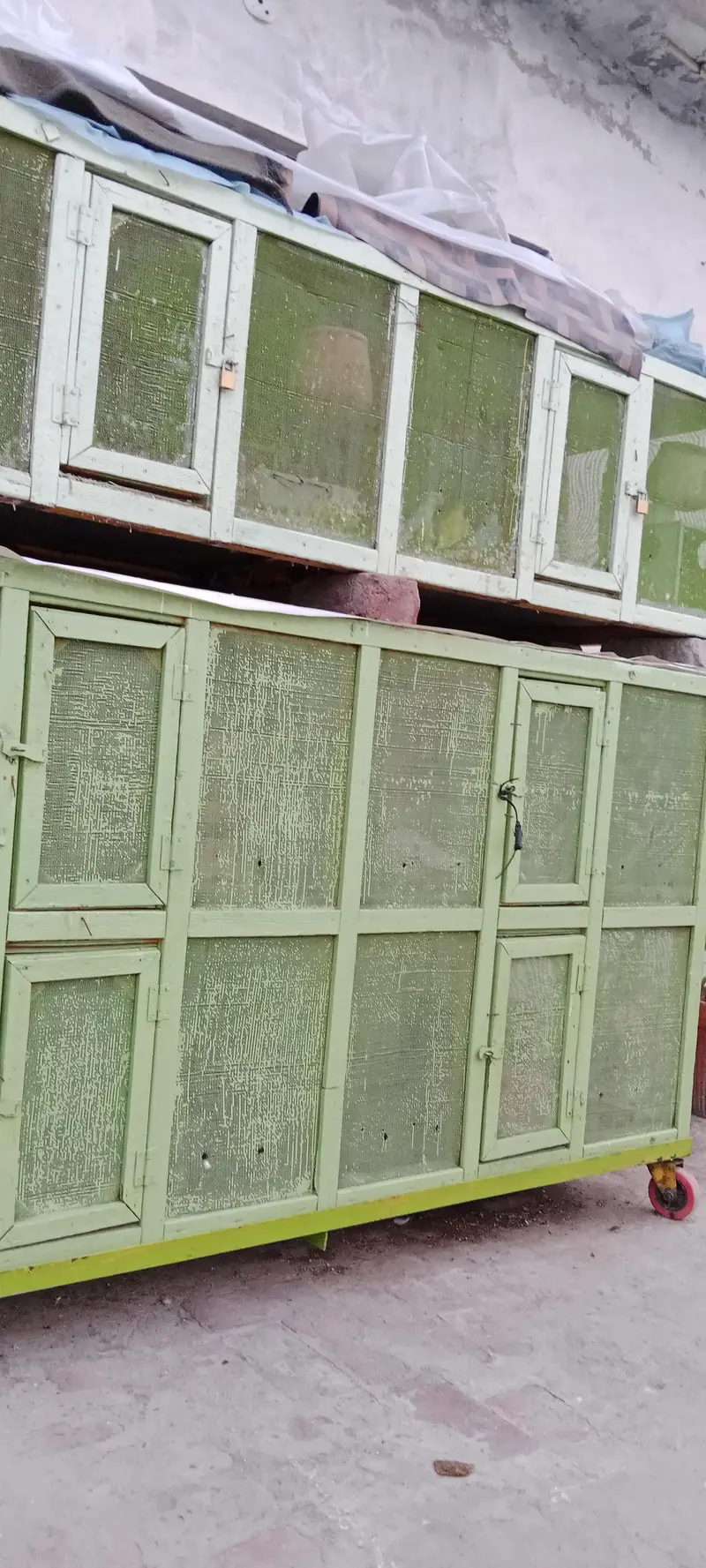brids cage — photo 3