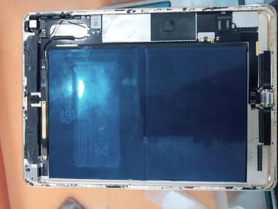screen ded