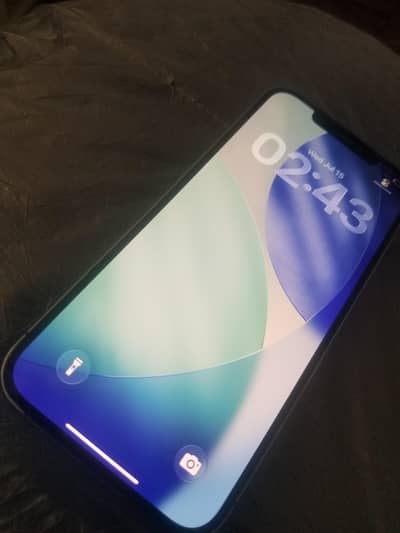Apple iPhone 12 Pro Max
