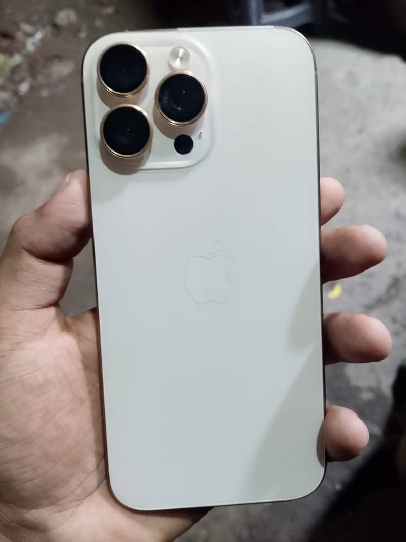 iPhone 16 Pro Max 1