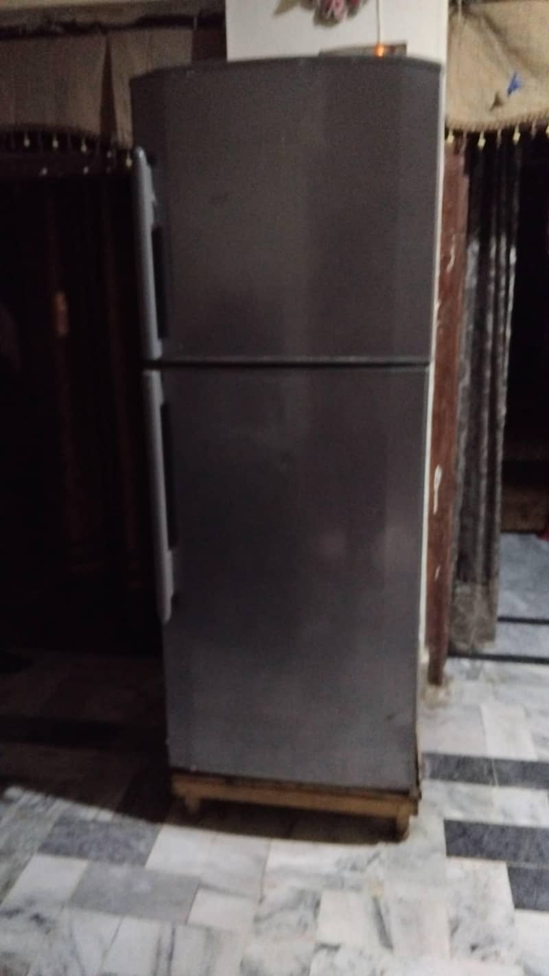 fridge 6
