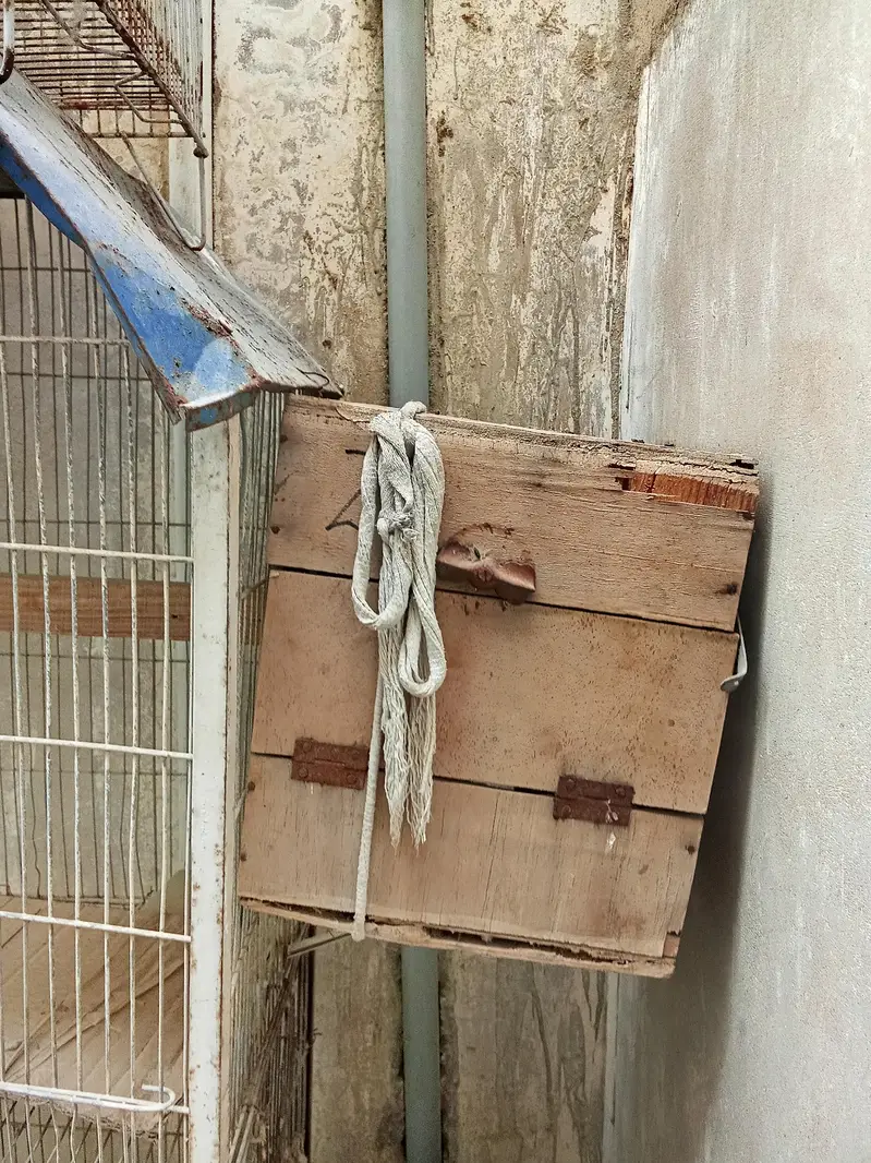2 portion cage — photo 2