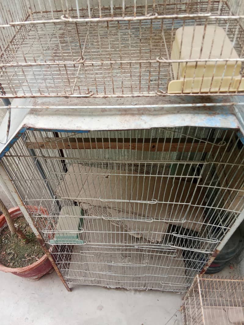 2 portion cage 2