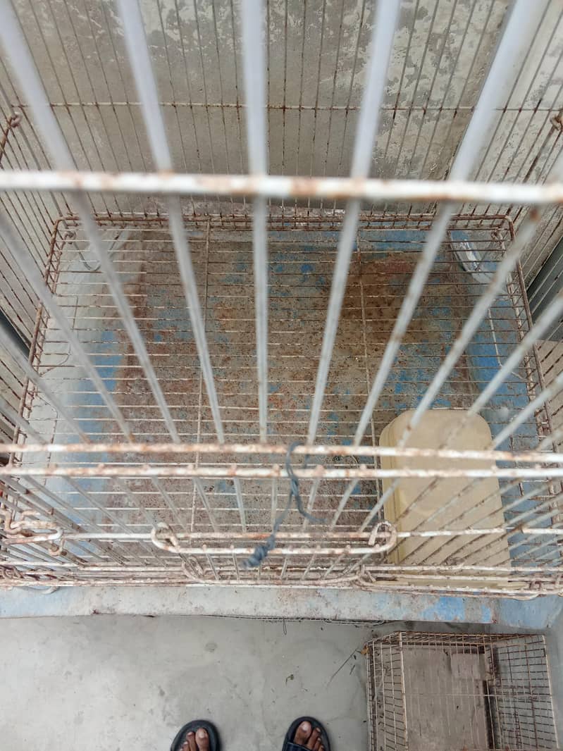 2 portion cage 3
