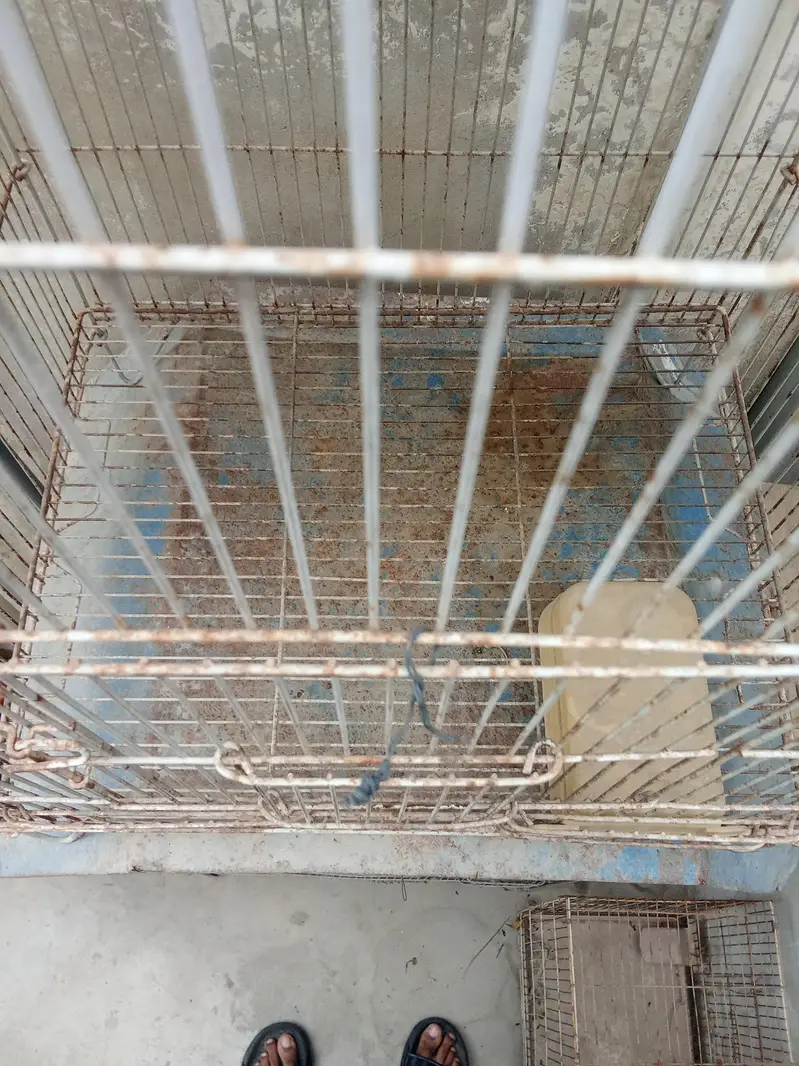 2 portion cage — photo 4