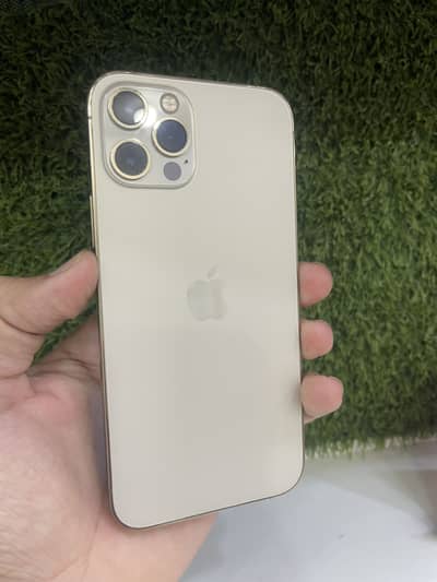 Apple iPhone 12 Pro