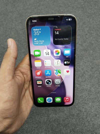 Apple iPhone 12 Pro Max