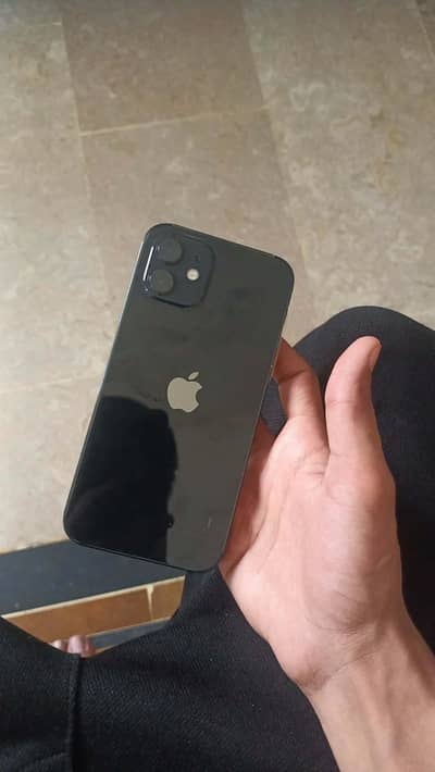 Apple iPhone 12