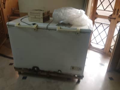 Haier freezer