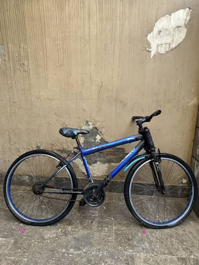 Giant cycle for sale
