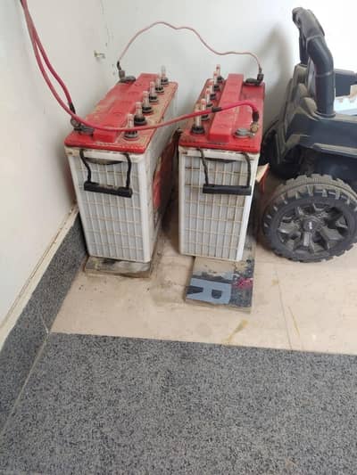 Battery  Tall Tubular Batteries -- Phoenix TX 2500