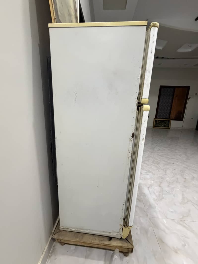 Medium size fridge 1