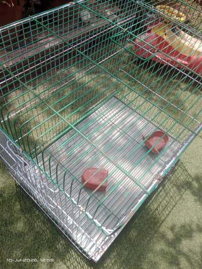 iron cage for hen, birds kitten,,