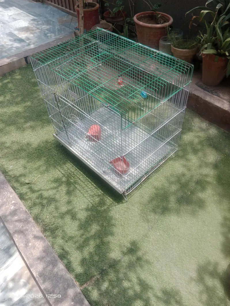 iron cage for hen, birds kitten,, — photo 3