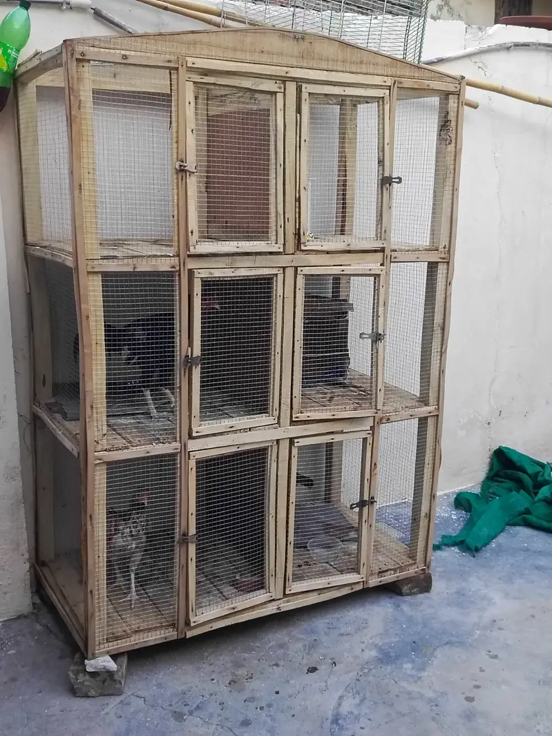 12 Partitions Cage for Birds and Hens — photo 2