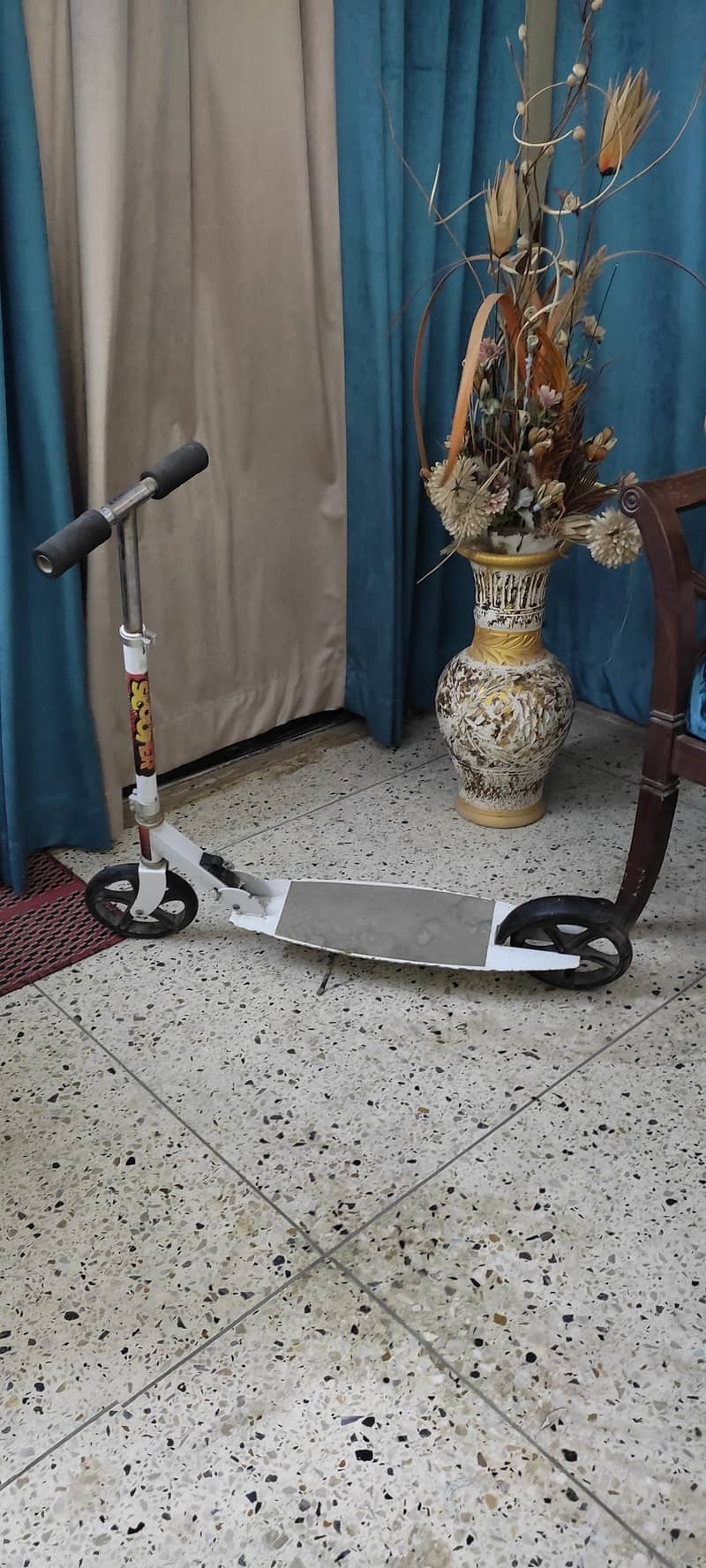 Scooty 1