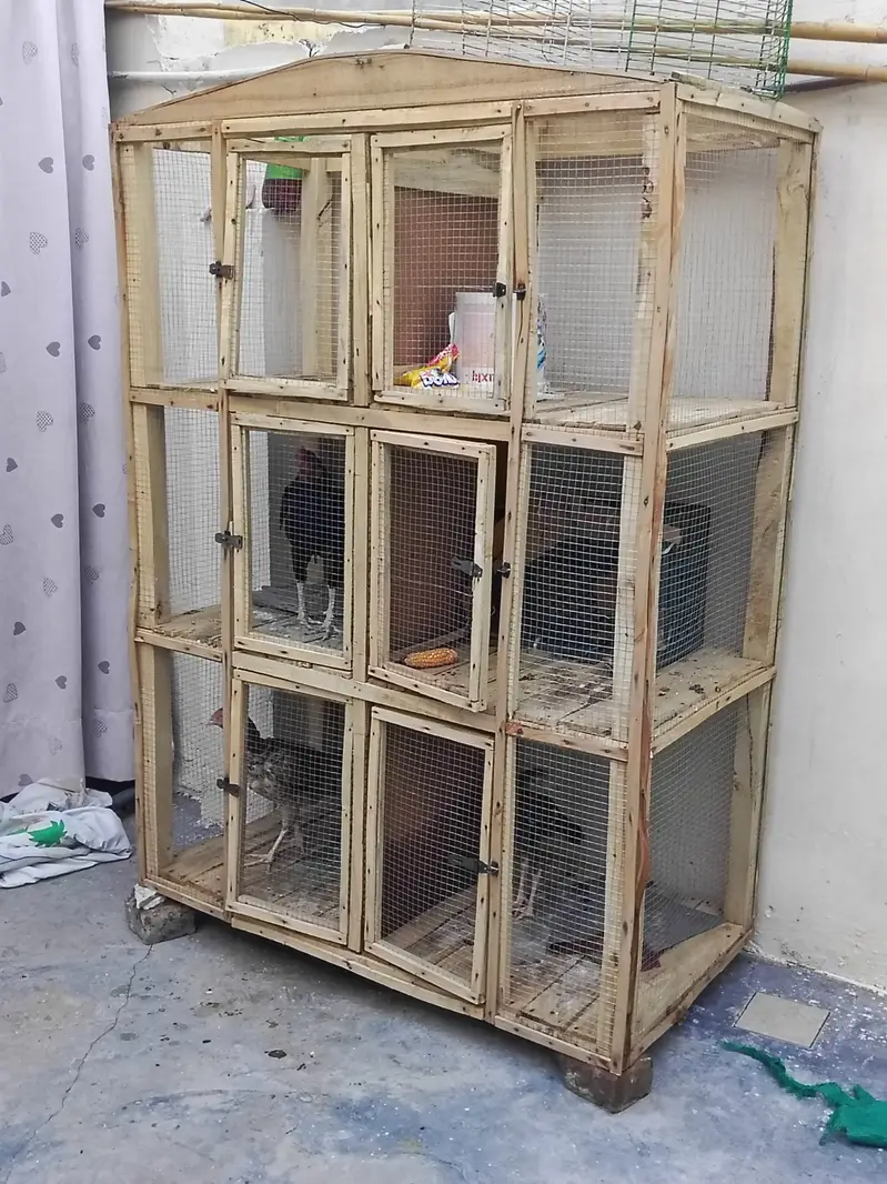 12 Partitions Cage for Birds and Hens — photo 3