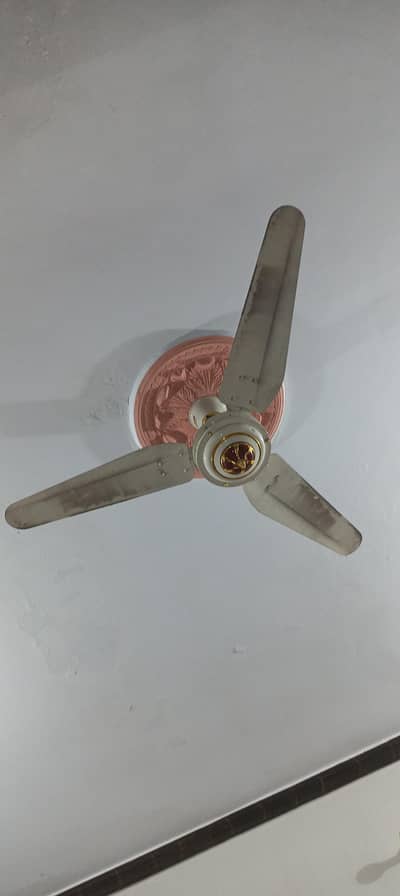 super asia fan
