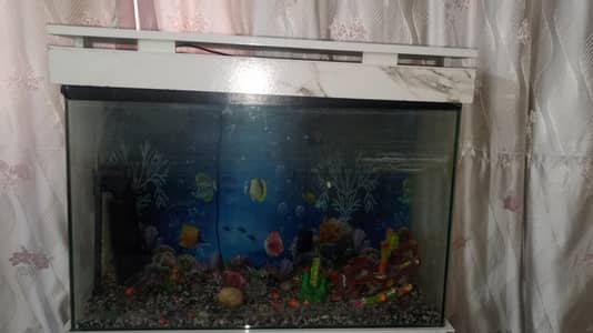 Aquarium