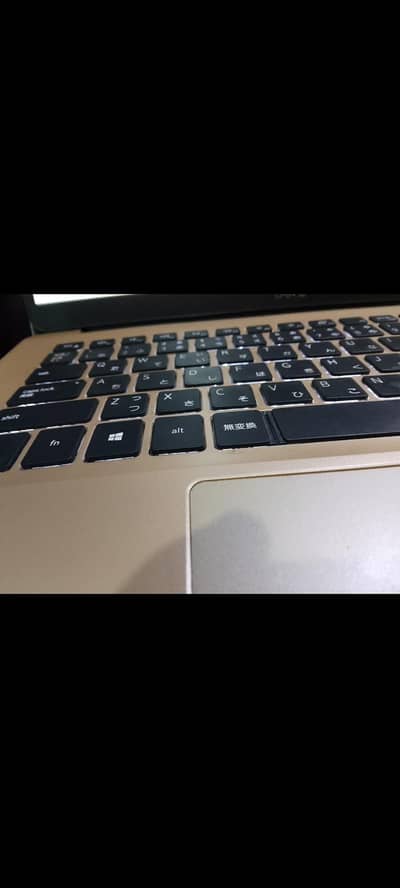 Dell Inspiron 5409 - i5 10th Gen | 8GB RAM | 512GB SSD | FHD Display