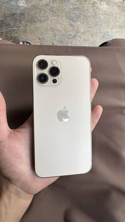 Apple iPhone 12 Pro Max