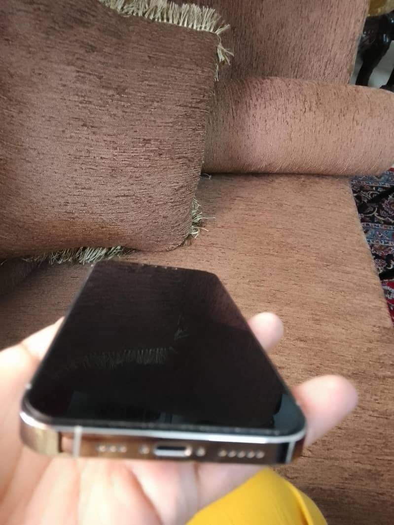 Apple iPhone 13 Pro 12