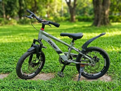 BDF Mountain Bicycle – Excellent Condition | Smooth Ride