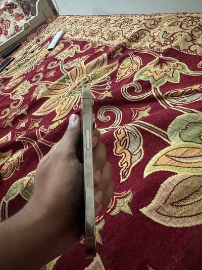Apple iPhone 13 Pro PTA APPROVED