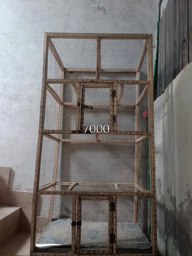 Cages — photo 2