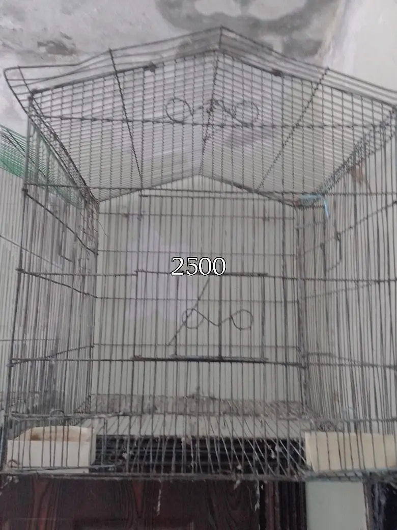 Cages — photo 3