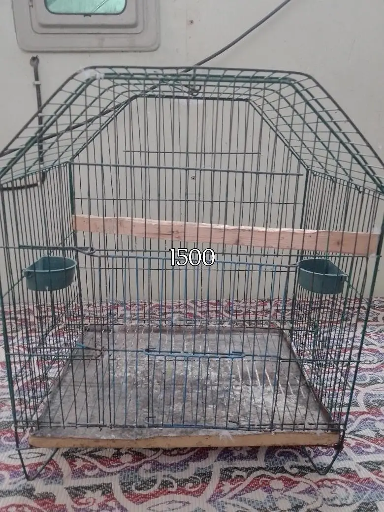Cages — photo 4