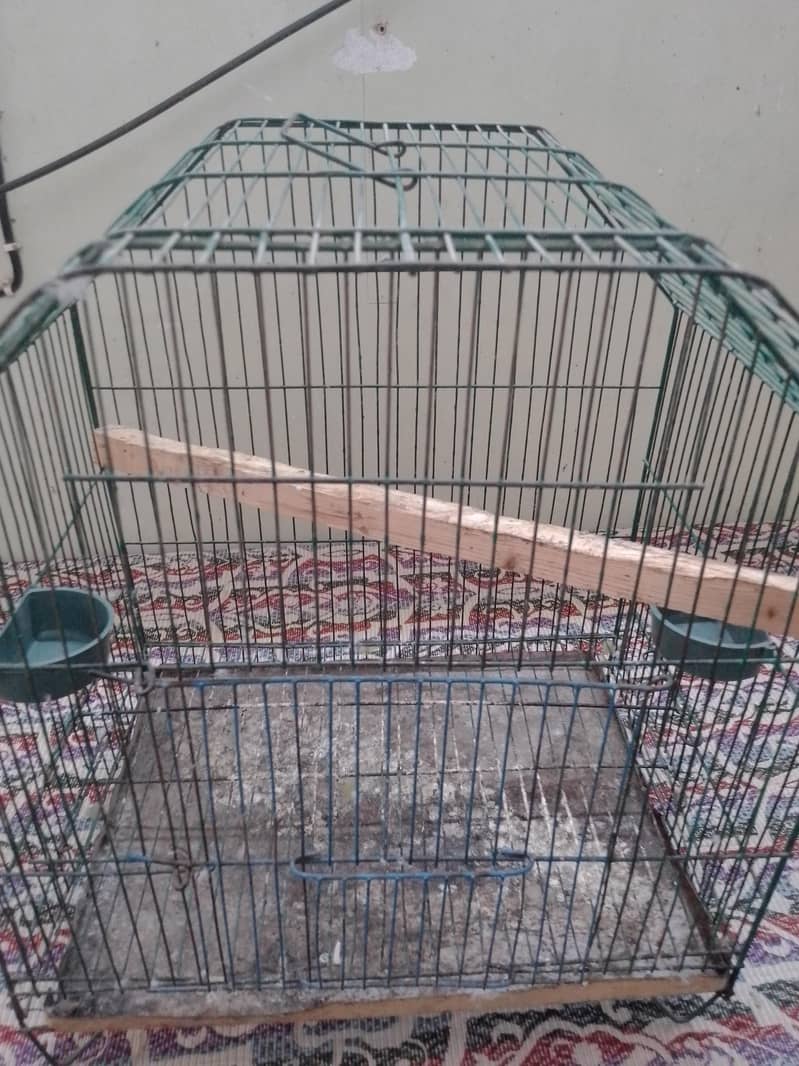 Cages 4