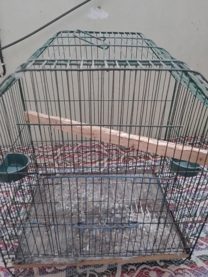 Cages — photo 5