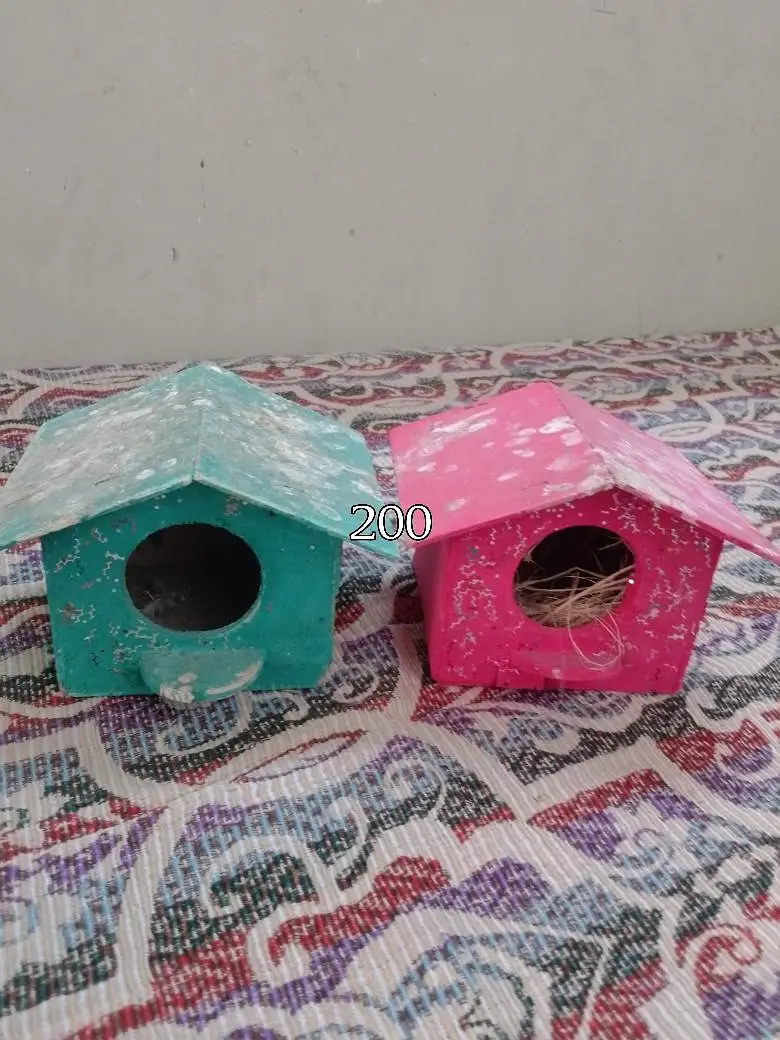 Cages — photo 11