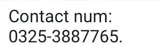 urgent sell taddi Bakra for sale — photo 2