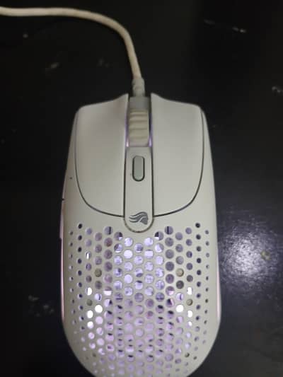 mouse