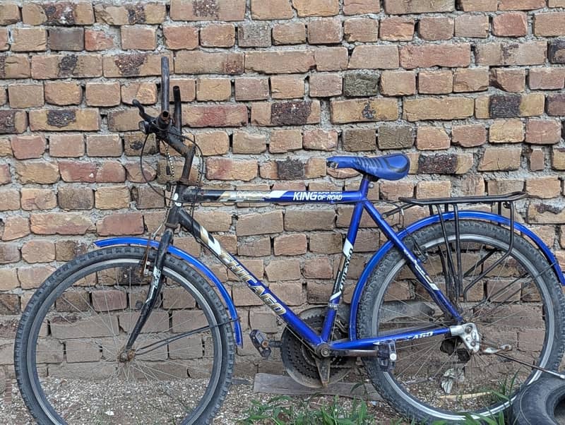 phoenix bicycle 0